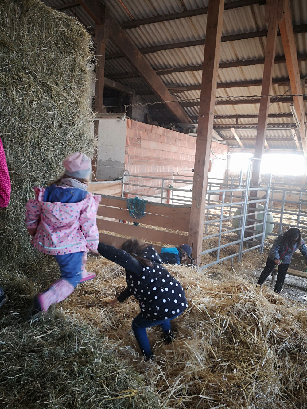 Kinder im Stall